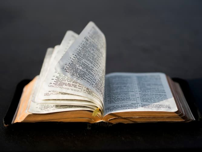 Cover image for Finding Peace in our Lord Through Scriptures