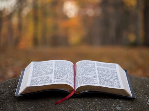 Cover image for Book Of Judges: Summary And Explanation