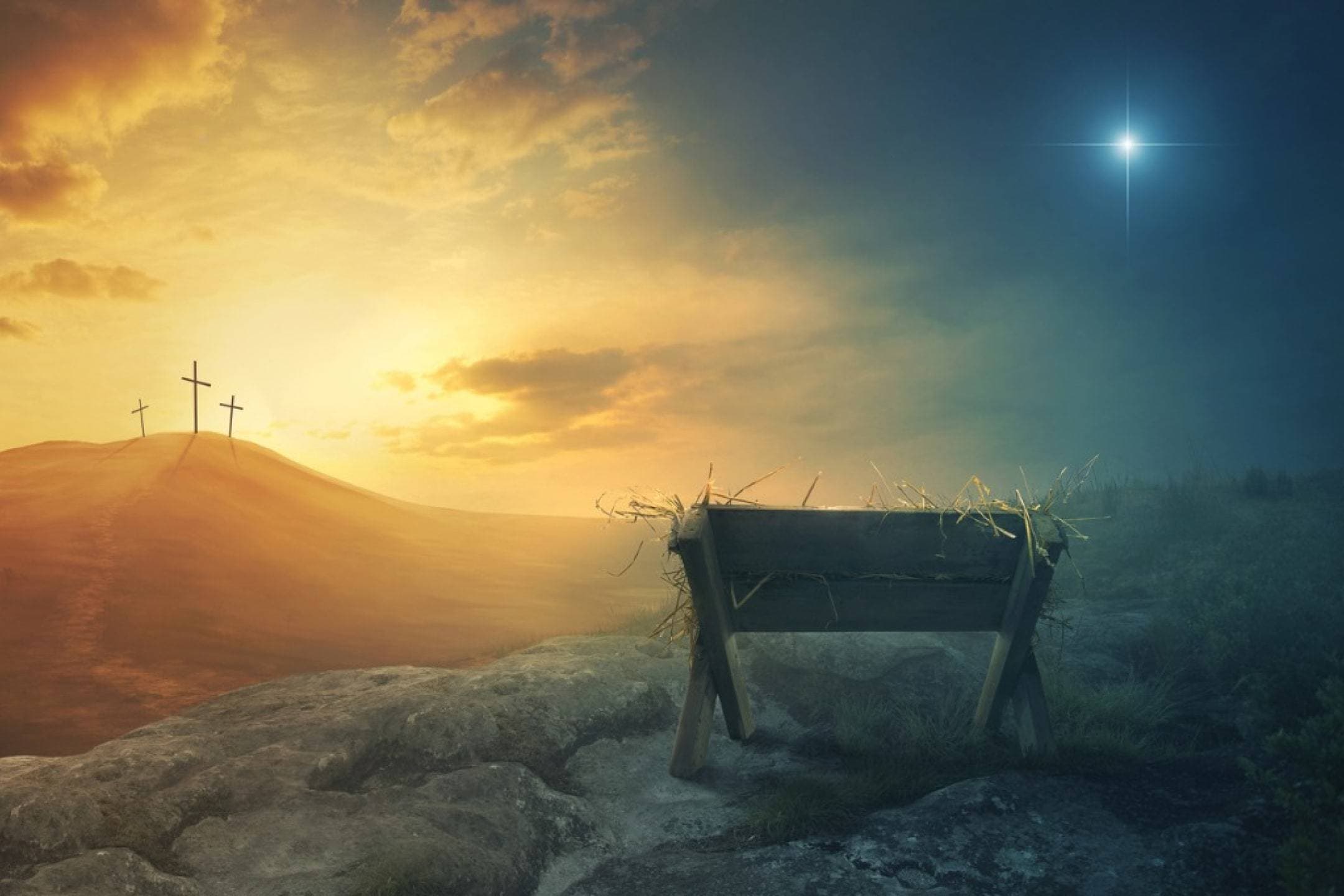 Cover image for Weekly Wisdom: Our Greatest Gift
