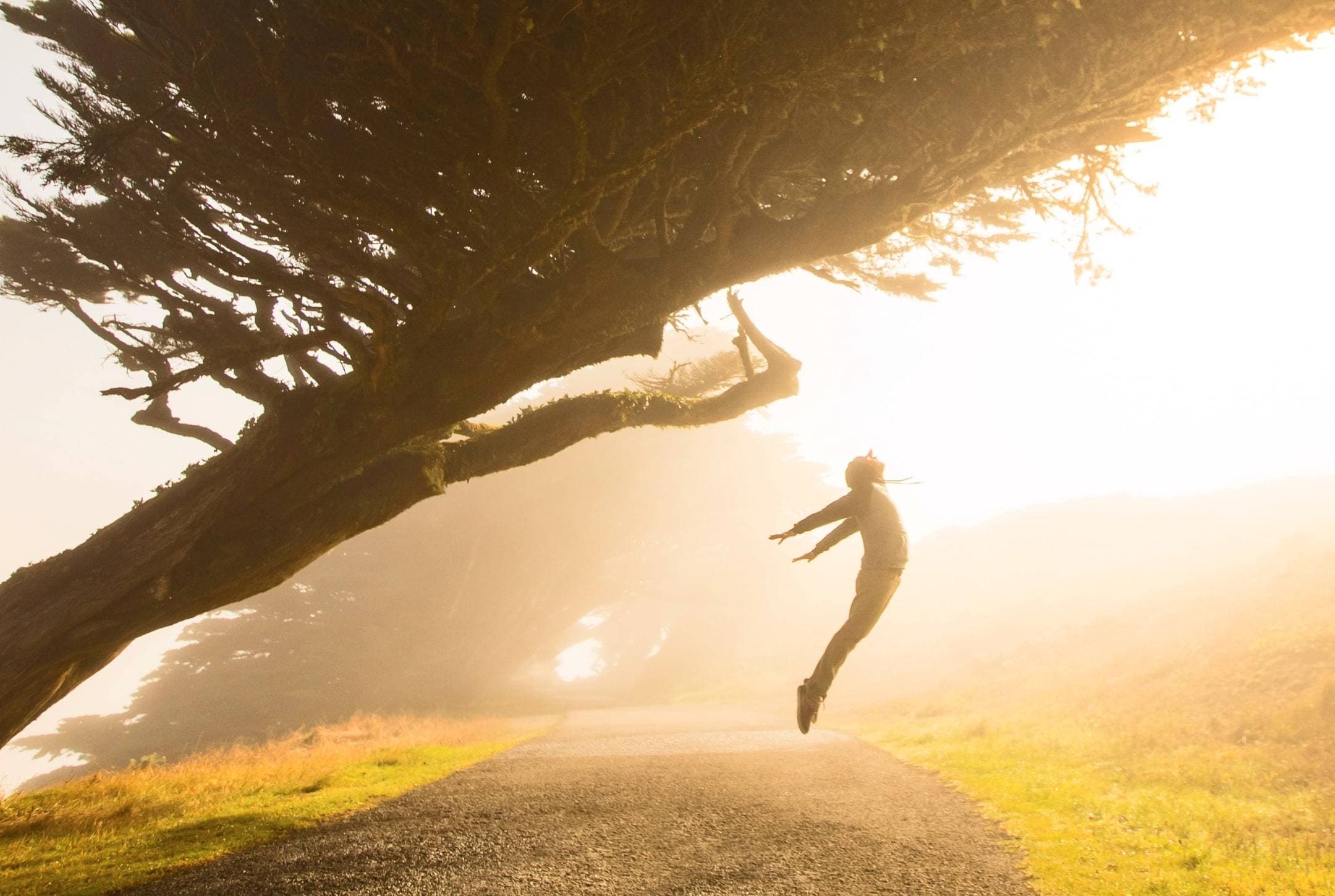 Cover image for Weekly Wisdom: Gratitude